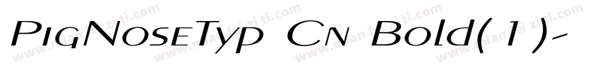 PigNoseTyp Cn Bold(1)字体转换